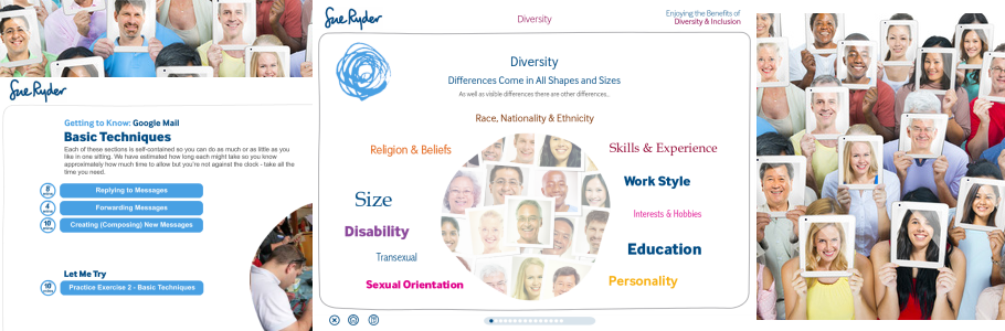 Diversity Training Screenshot