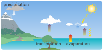 HTML5 Animation of Watercycle